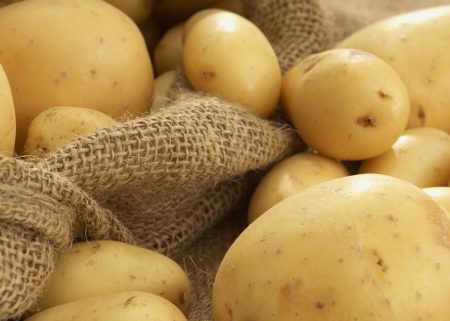 bulk potato food suppliers