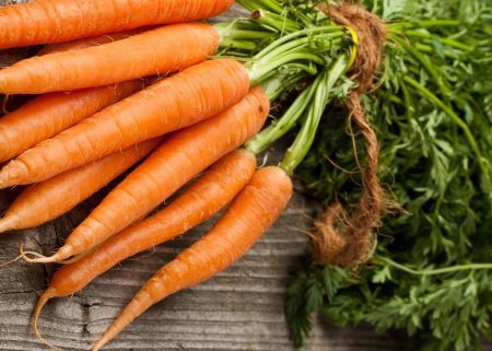 carrot food suppliers