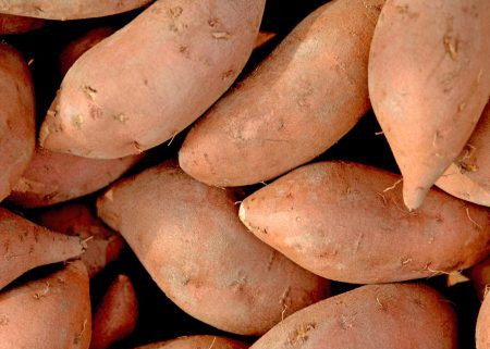Sweet Potato suppliers for pet food ingredients